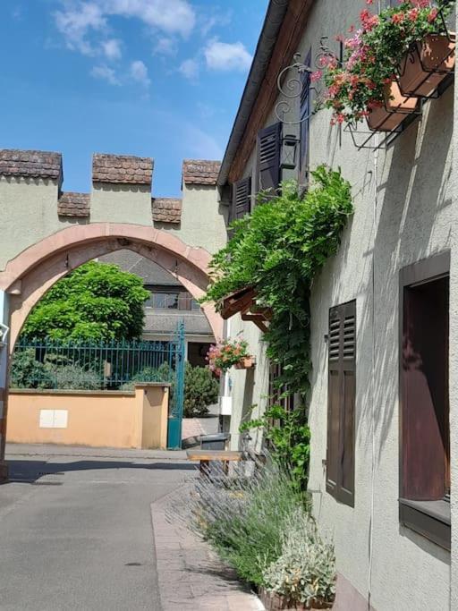 Gite Le3 Bergheim Ngoại thất bức ảnh
